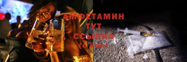 шишки Алзамай