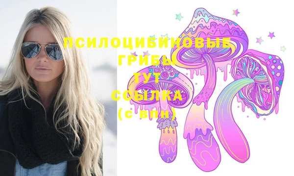 шишки Алзамай