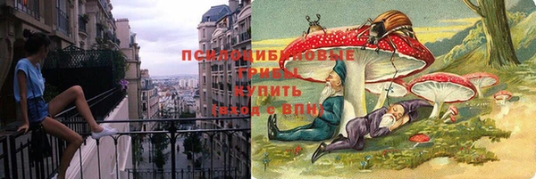 соль ск Алексин
