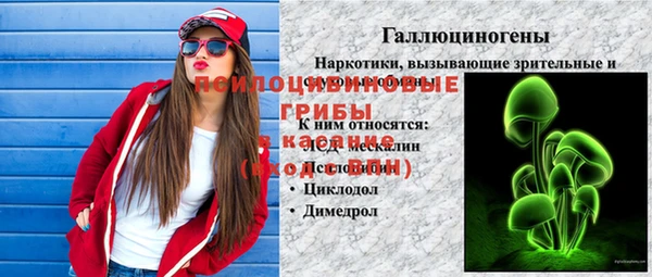 соль ск Алексин